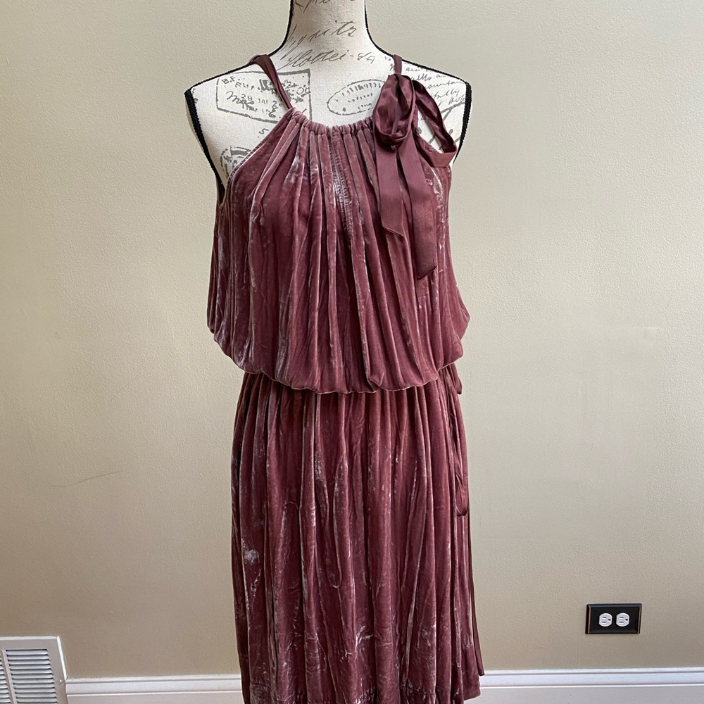 New Fancy BCBG MaxAzria Rosetta Velvet Tie Dress